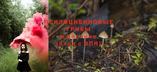 не бодяженный Армянск